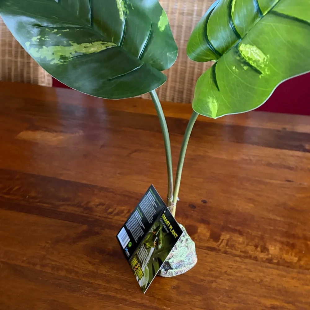 New Exo-Terra Smart Plant Scindapsus Ideal for Terrariums